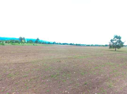 40 ACRES ERABLE WET-FARM AT MOSHI, KILIMANJARO