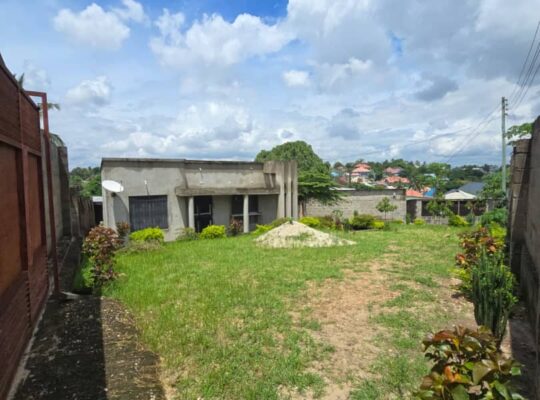 NYUMBA YENYE HATI, VYUMBA 3,GOBA NJIA NNE