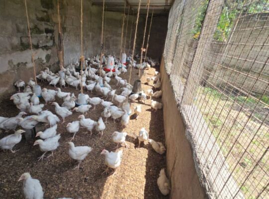 NYUMBA YENYE HATI, VYUMBA 3,GOBA NJIA NNE