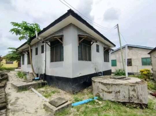 NYUMBA YA VYUMBA 3,UKONGA BANANA.