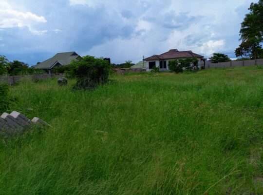 NYUMBA MBILI ,KIWANJA SQM.3,000,KILUVYA KWAKOMBA