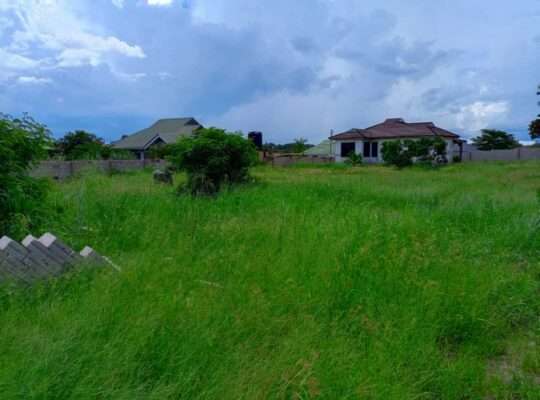 NYUMBA MBILI ,KIWANJA SQM.3,000,KILUVYA KWAKOMBA