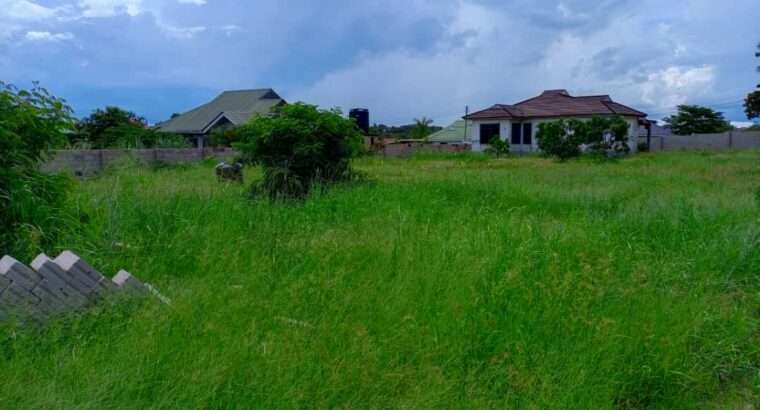 NYUMBA MBILI ,KIWANJA SQM.3,000,KILUVYA KWAKOMBA