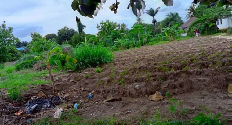 KIWANJA SQM.4,000, KIBAHA,PICHA YA NDEGE.