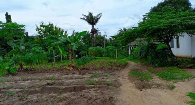 KIWANJA SQM.4,000, KIBAHA,PICHA YA NDEGE.