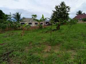 KIWANJA SQM.4,000, KIBAHA,PICHA YA NDEGE.