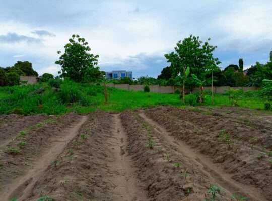 KIWANJA SQM.4,000, KIBAHA,PICHA YA NDEGE.