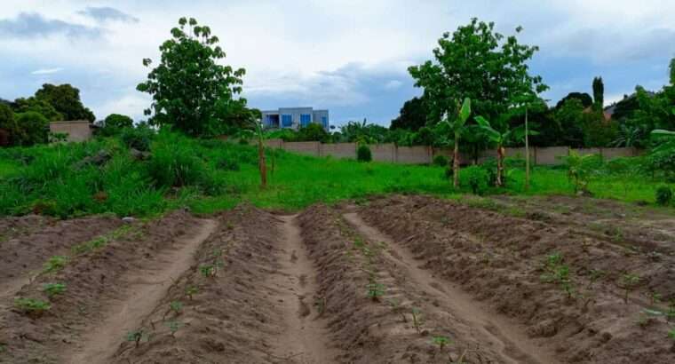 KIWANJA SQM.4,000, KIBAHA,PICHA YA NDEGE.