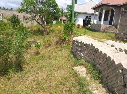 KIWANJA CHENYE MSINGI, SQM.500, KINAUZWA NA BANK