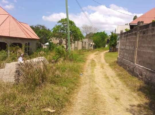 KIWANJA CHENYE MSINGI, SQM.500, KINAUZWA NA BANK