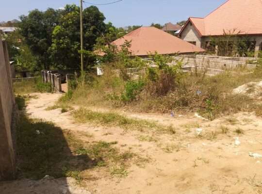 KIWANJA CHENYE MSINGI, SQM.500, KINAUZWA NA BANK