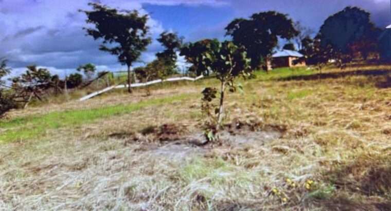 SHAMBA LA MPUNGA EKARI 130, MADABA, RUVUMA.