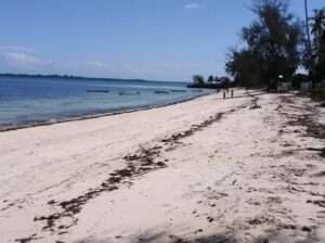 20 ACRES SERENE BEACH-LAND AT KIZIMKAZI,ZANZIBAR