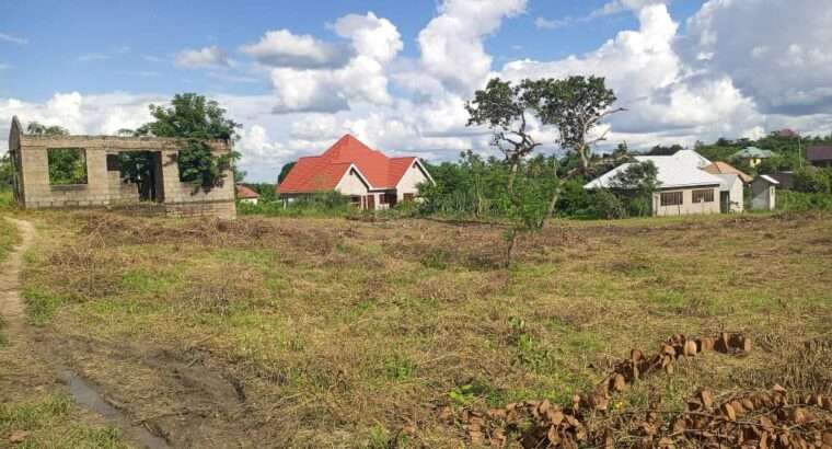 VIWANJA VIZURI VINAUZWA,LOLIONDO-KIBAHA