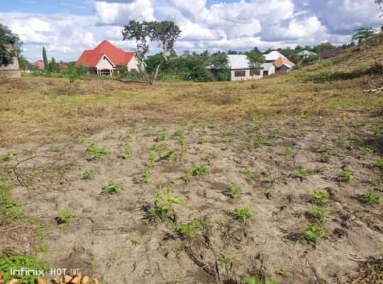 VIWANJA VIZURI VINAUZWA,LOLIONDO-KIBAHA