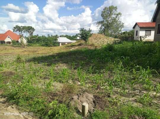 VIWANJA VIZURI VINAUZWA,LOLIONDO-KIBAHA