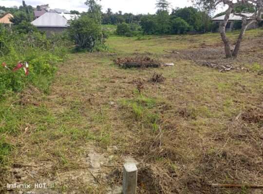 VIWANJA VIZURI VINAUZWA,LOLIONDO-KIBAHA