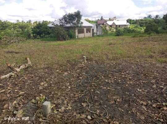 VIWANJA VIZURI VINAUZWA,LOLIONDO-KIBAHA