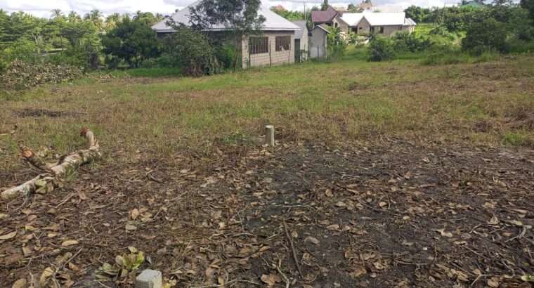 VIWANJA VIZURI VINAUZWA,LOLIONDO-KIBAHA