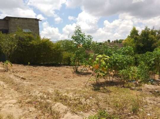 KIWANJA CHENYE MSINGI, INAUZA BANK, SQM. 600, MA