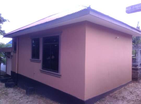 APARTMENT 1 NA MAPAGALE-ROOM-4,KIGOGO-FRESH,PUGU