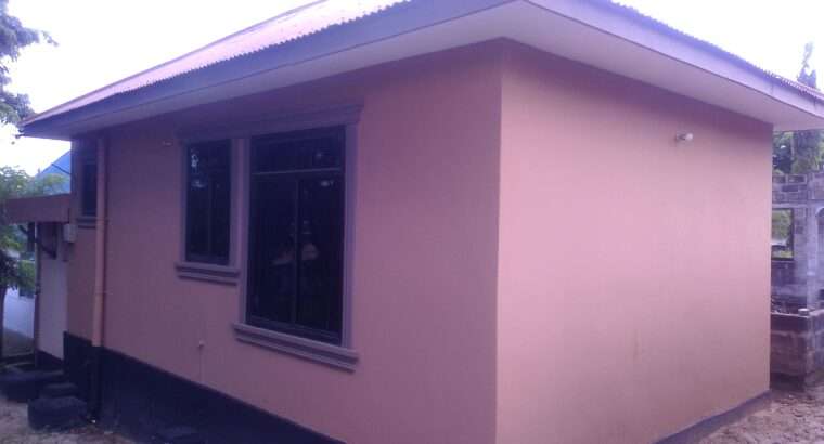 APARTMENT 1 NA MAPAGALE-ROOM-4,KIGOGO-FRESH,PUGU