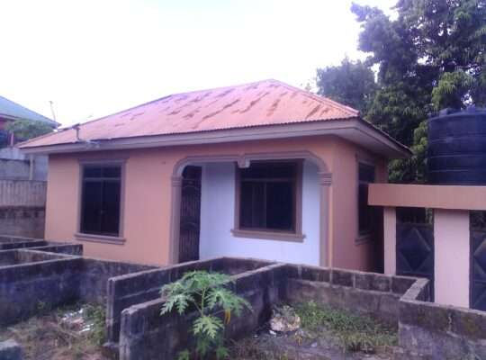 APARTMENT 1 NA MAPAGALE-ROOM-4,KIGOGO-FRESH,PUGU