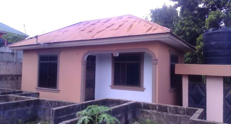 APARTMENT 1 NA MAPAGALE-ROOM-4,KIGOGO-FRESH,PUGU