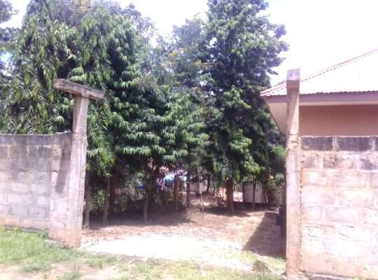 APARTMENT 1 NA MAPAGALE-ROOM-4,KIGOGO-FRESH,PUGU