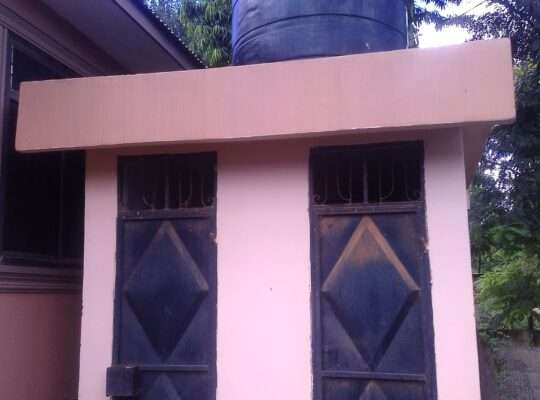 APARTMENT 1 NA MAPAGALE-ROOM-4,KIGOGO-FRESH,PUGU