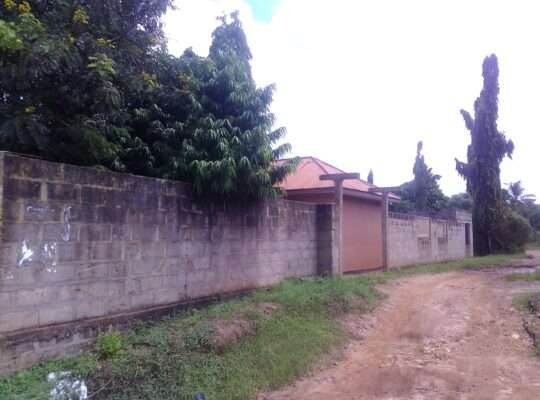 APARTMENT 1 NA MAPAGALE-ROOM-4,KIGOGO-FRESH,PUGU