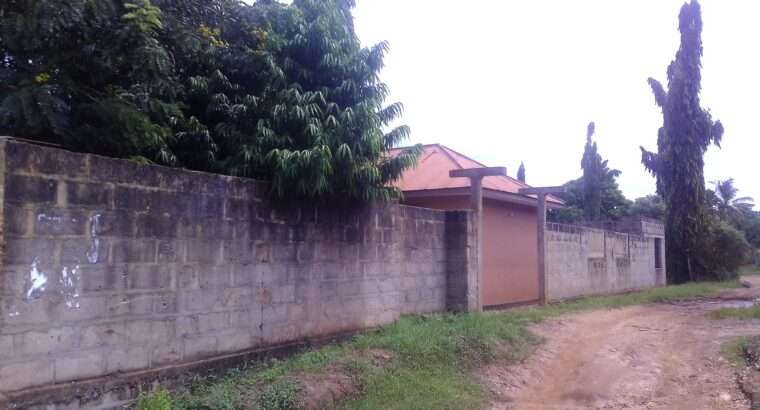 APARTMENT 1 NA MAPAGALE-ROOM-4,KIGOGO-FRESH,PUGU