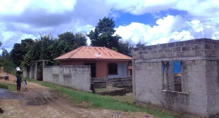 APARTMENT 1 NA MAPAGALE-ROOM-4,KIGOGO-FRESH,PUGU