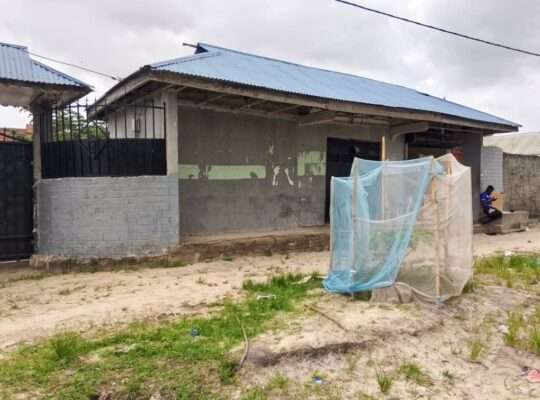 NYUMBA, MSINGI NA MADUKA, INAUZA NA BANK, PUGU.