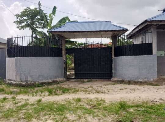 NYUMBA, MSINGI NA MADUKA, INAUZA NA BANK, PUGU.