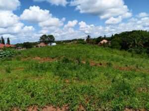 KIWANJA CHENYE HATI, SQM.1,500, KIBAMBA LUGURUNI