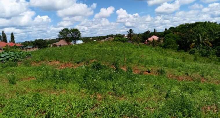 KIWANJA CHENYE HATI, SQM.1,500, KIBAMBA LUGURUNI