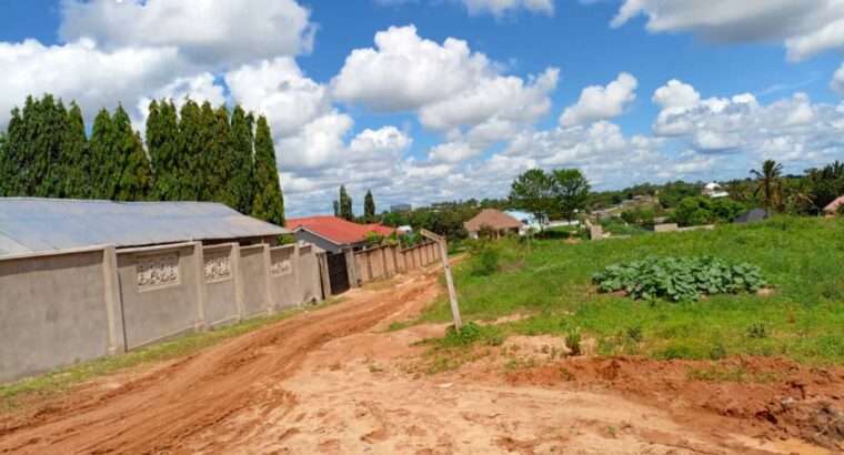 KIWANJA CHENYE HATI, SQM.1,500, KIBAMBA LUGURUNI