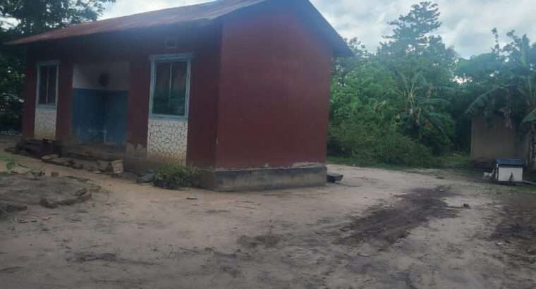 180 ACRES, TSHS.35 MIL/ACRE AT MLANDIZI.