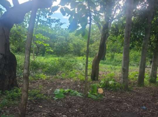 180 ACRES, TSHS.35 MIL/ACRE AT MLANDIZI.