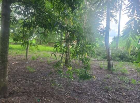 180 ACRES, TSHS.35 MIL/ACRE AT MLANDIZI.