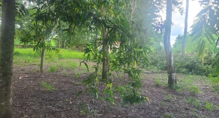 180 ACRES, TSHS.35 MIL/ACRE AT MLANDIZI.