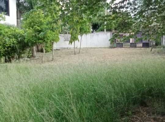 GHOROFA YA VYUMBA VITATU (3) KIBAMBA-SHULE.