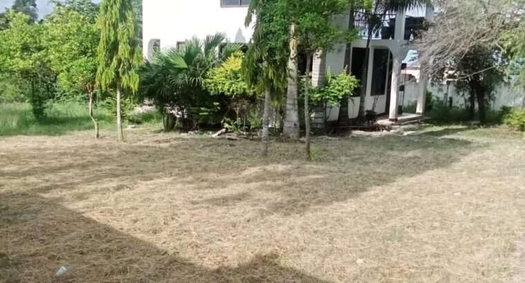 GHOROFA YA VYUMBA VITATU (3) KIBAMBA-SHULE.