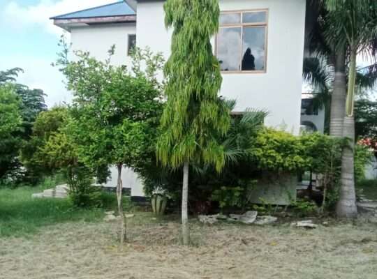 GHOROFA YA VYUMBA VITATU (3) KIBAMBA-SHULE.