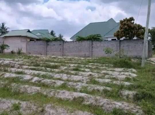 NYUMBA-TATU PAMOJA, MAJOHE-VIWEGE/GONGOLAMBOTO.