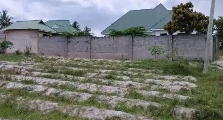 NYUMBA-TATU PAMOJA, MAJOHE-VIWEGE/GONGOLAMBOTO.