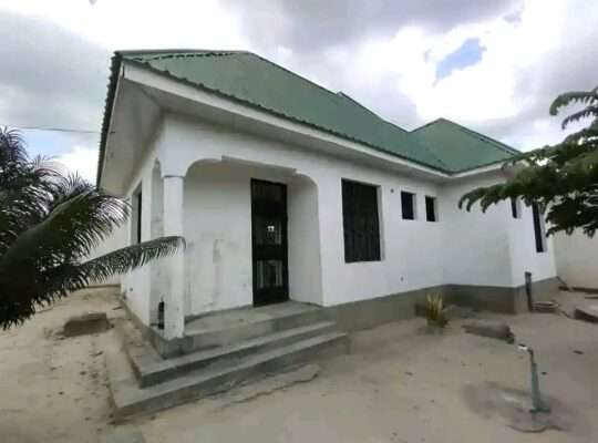 NYUMBA-TATU PAMOJA, MAJOHE-VIWEGE/GONGOLAMBOTO.