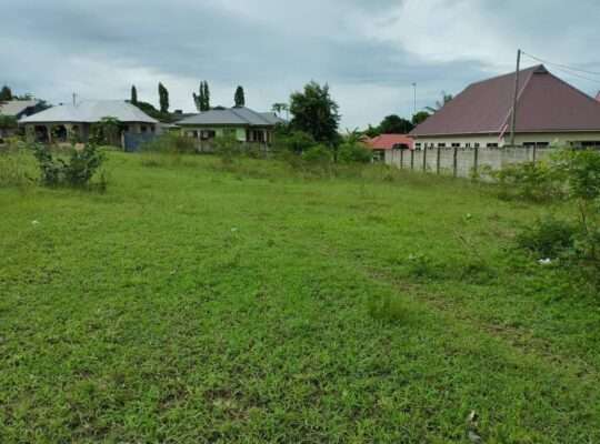 KIWANJA KILICHOPIMWA SQM.2,300,SALASALA