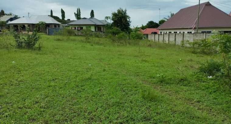 KIWANJA KILICHOPIMWA SQM.2,300,SALASALA